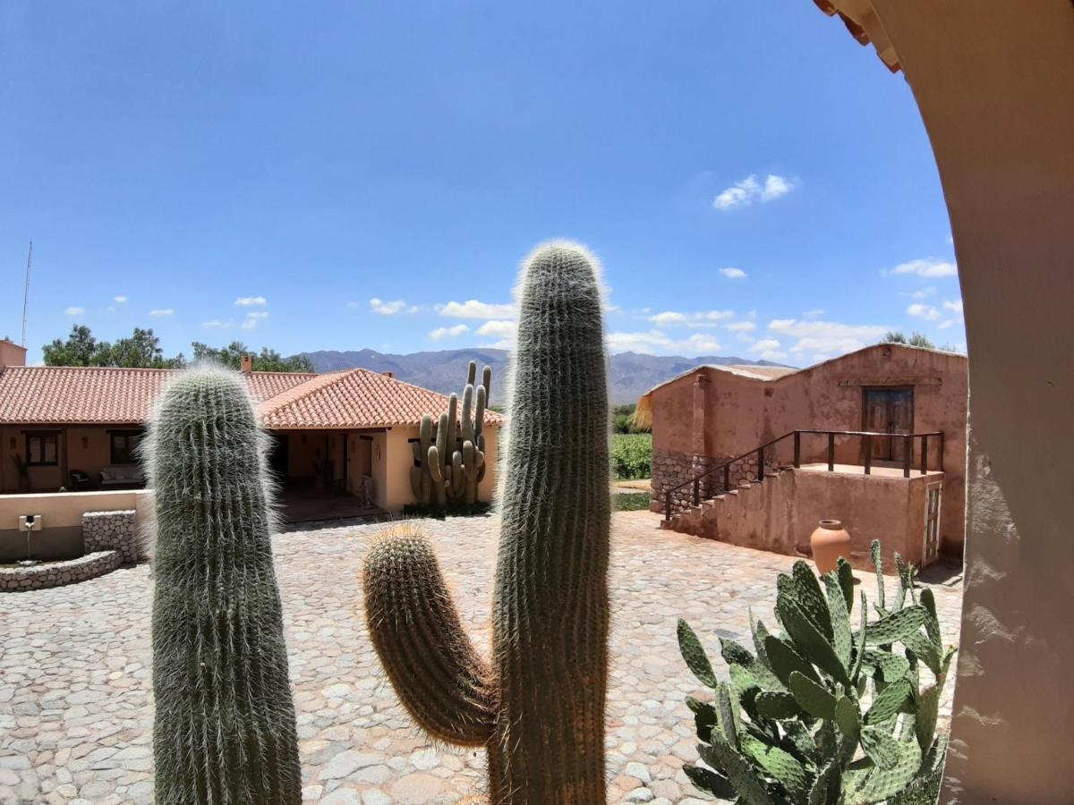 Estancia Colome Molinos Exteriör bild