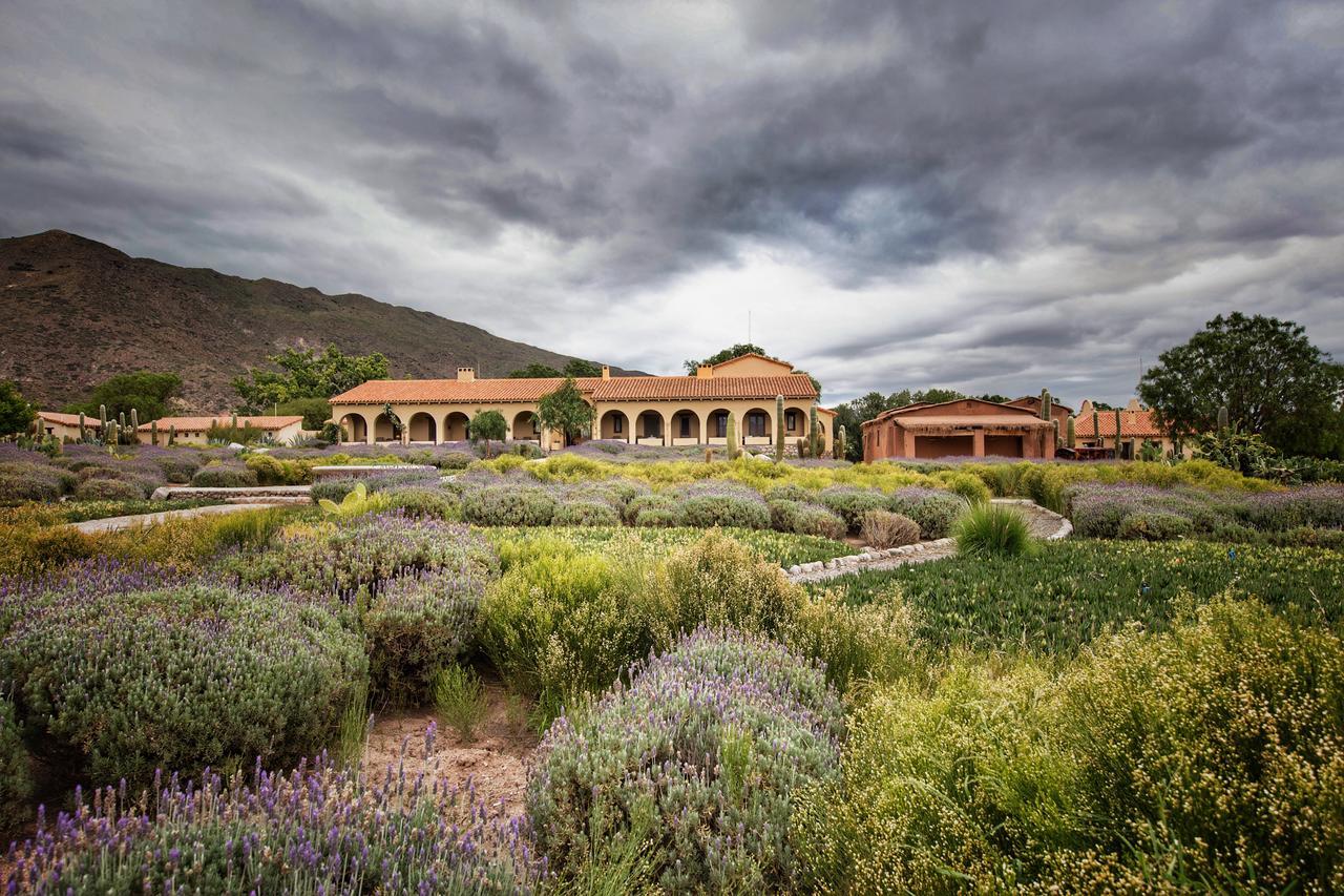 Estancia Colome Molinos Exteriör bild