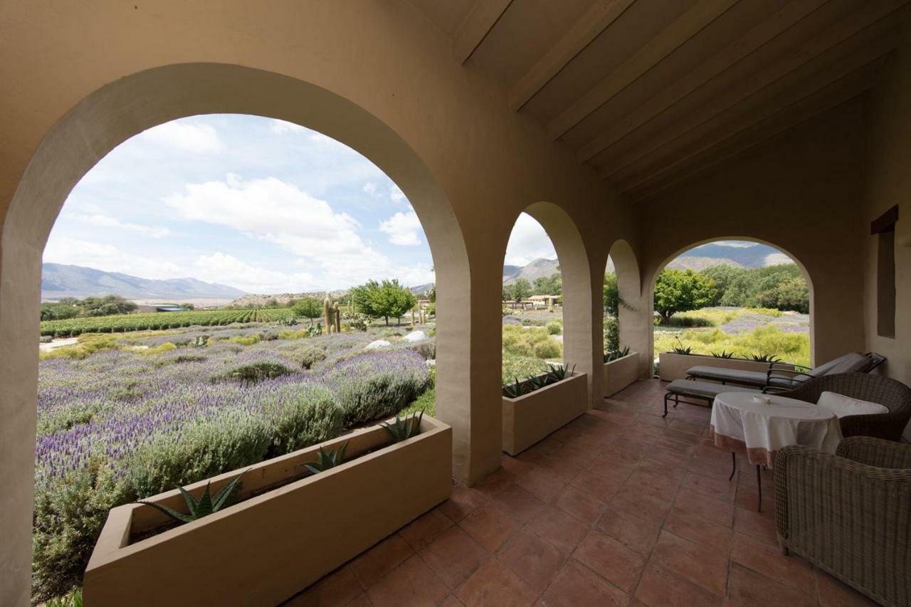 Estancia Colome Molinos Exteriör bild